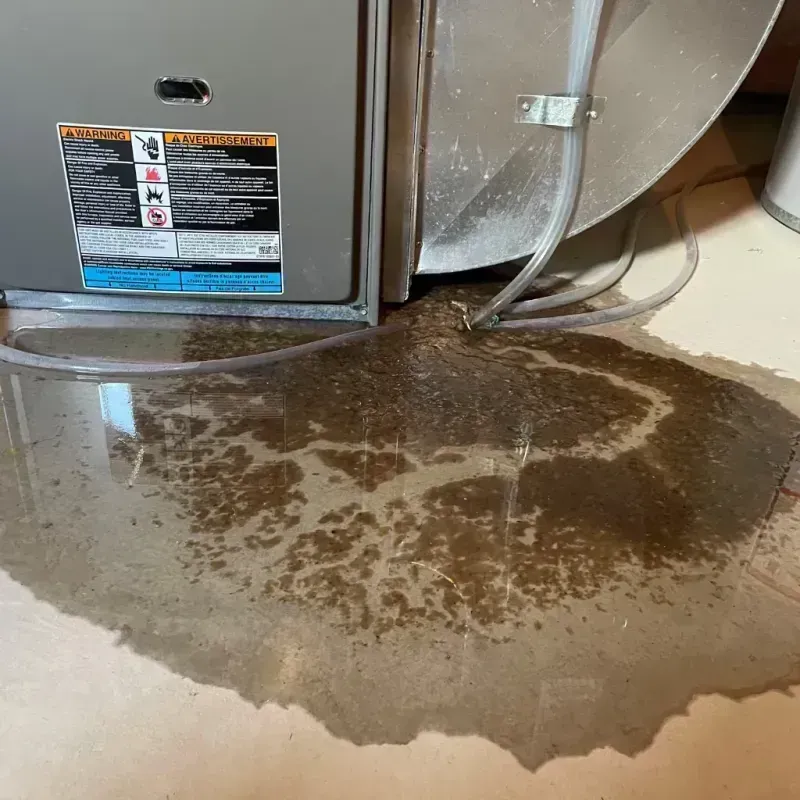 Appliance Leak Cleanup in Grambling, LA